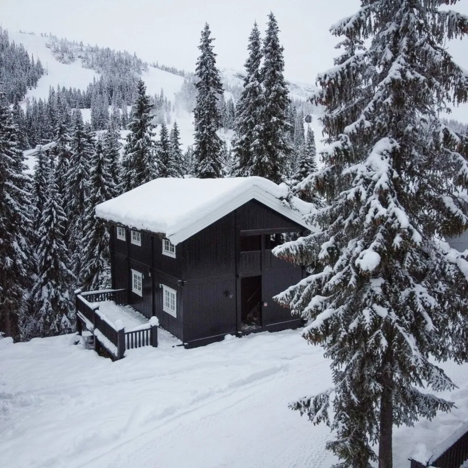 GUDBRANDSGARD HYTTEGREND 2