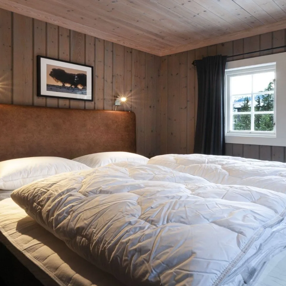 GUDBRANDSGARD HYTTEGREND 3