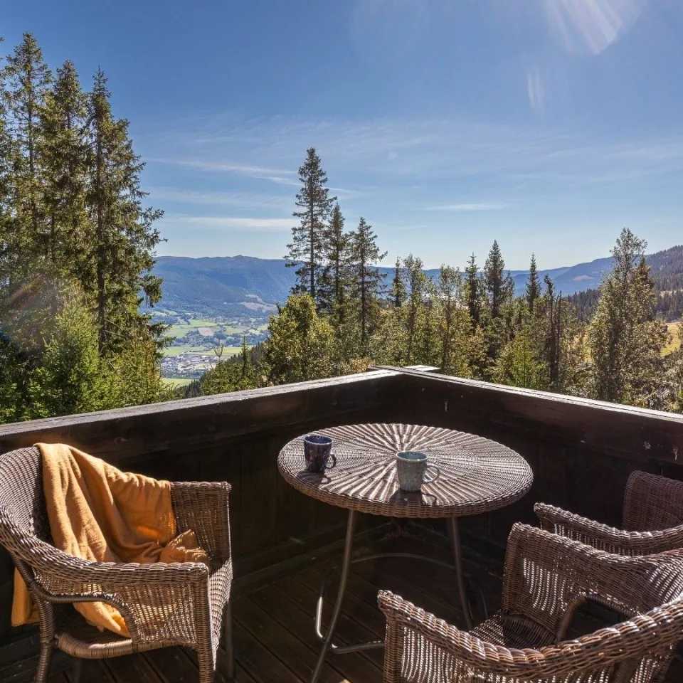 GUDBRANDSGARD HYTTEGREND 5