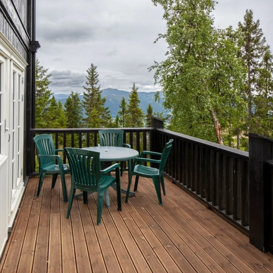 GUDBRANDSGARD HYTTEGREND 6