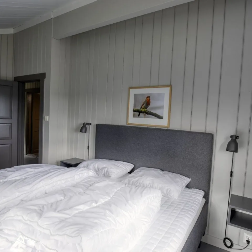 GUDBRANDSGARD HYTTEGREND 8