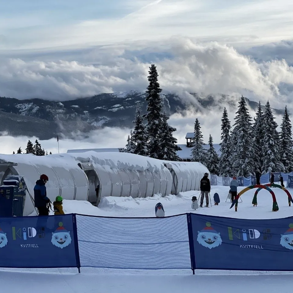 KVITFJELL ALPINGREND 8C