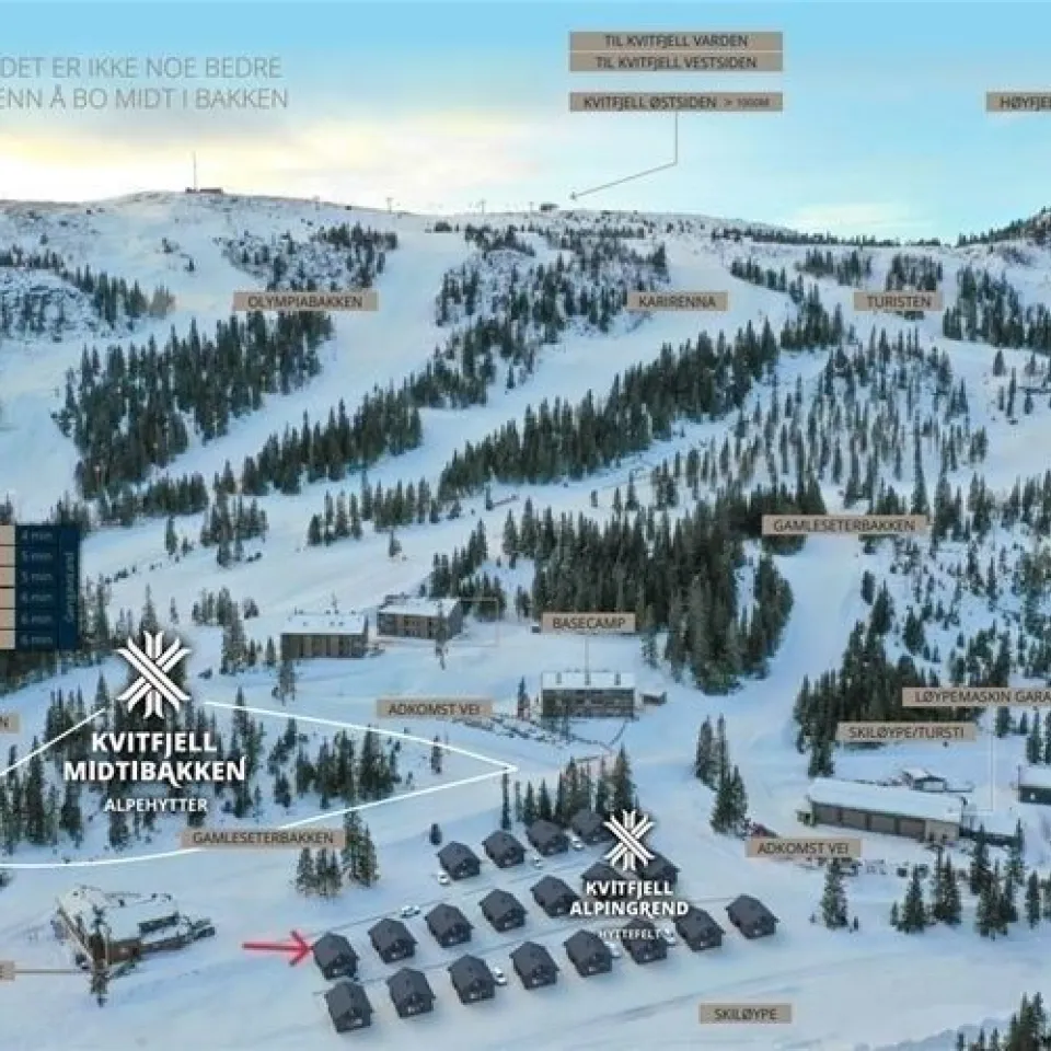 KVITFJELL ALPINGREND 8C