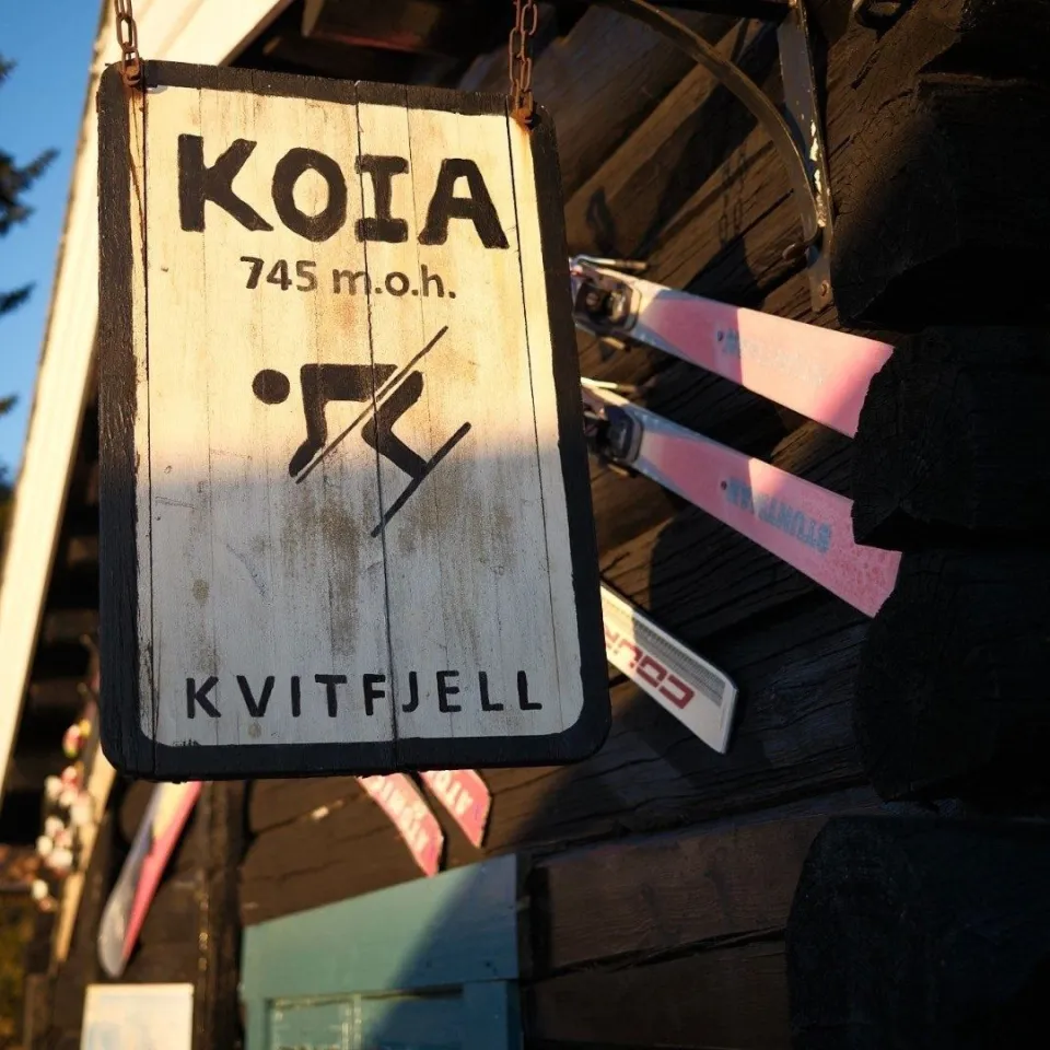 KVITFJELL ALPINGREND 8C