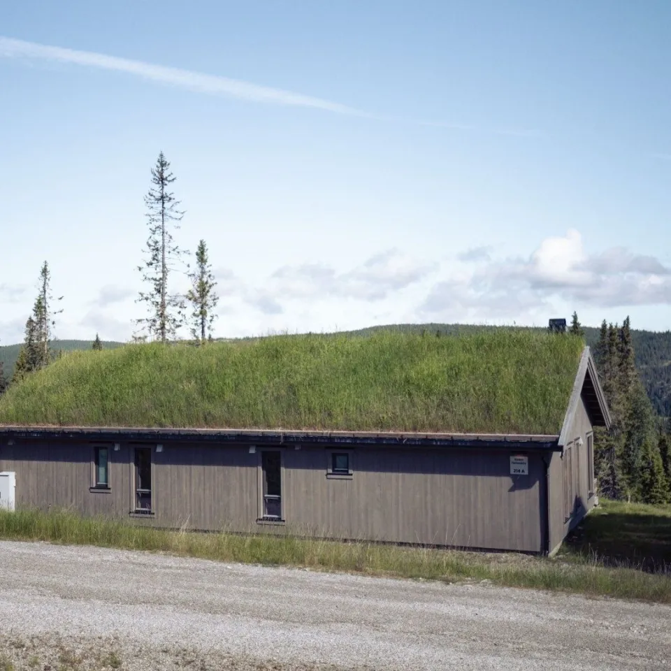 VARDEN FJELLANDSBY 214A