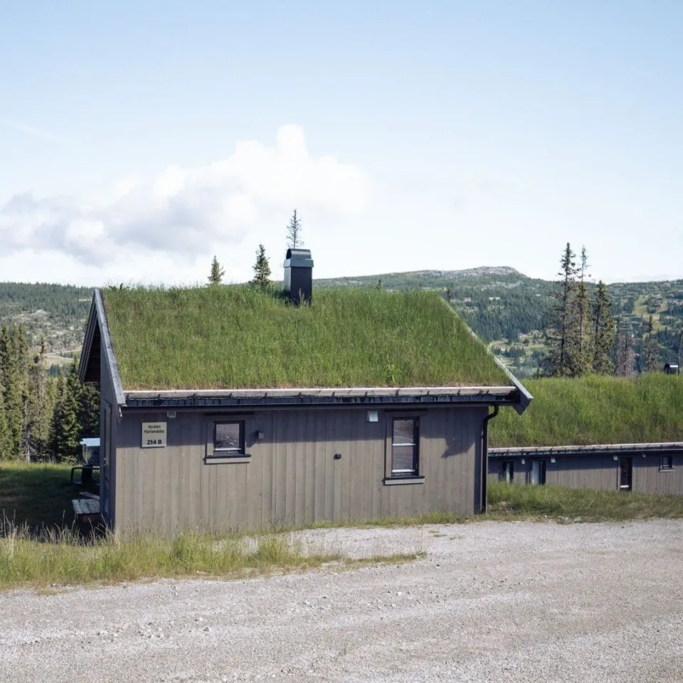 VARDEN FJELLANDSBY 214A