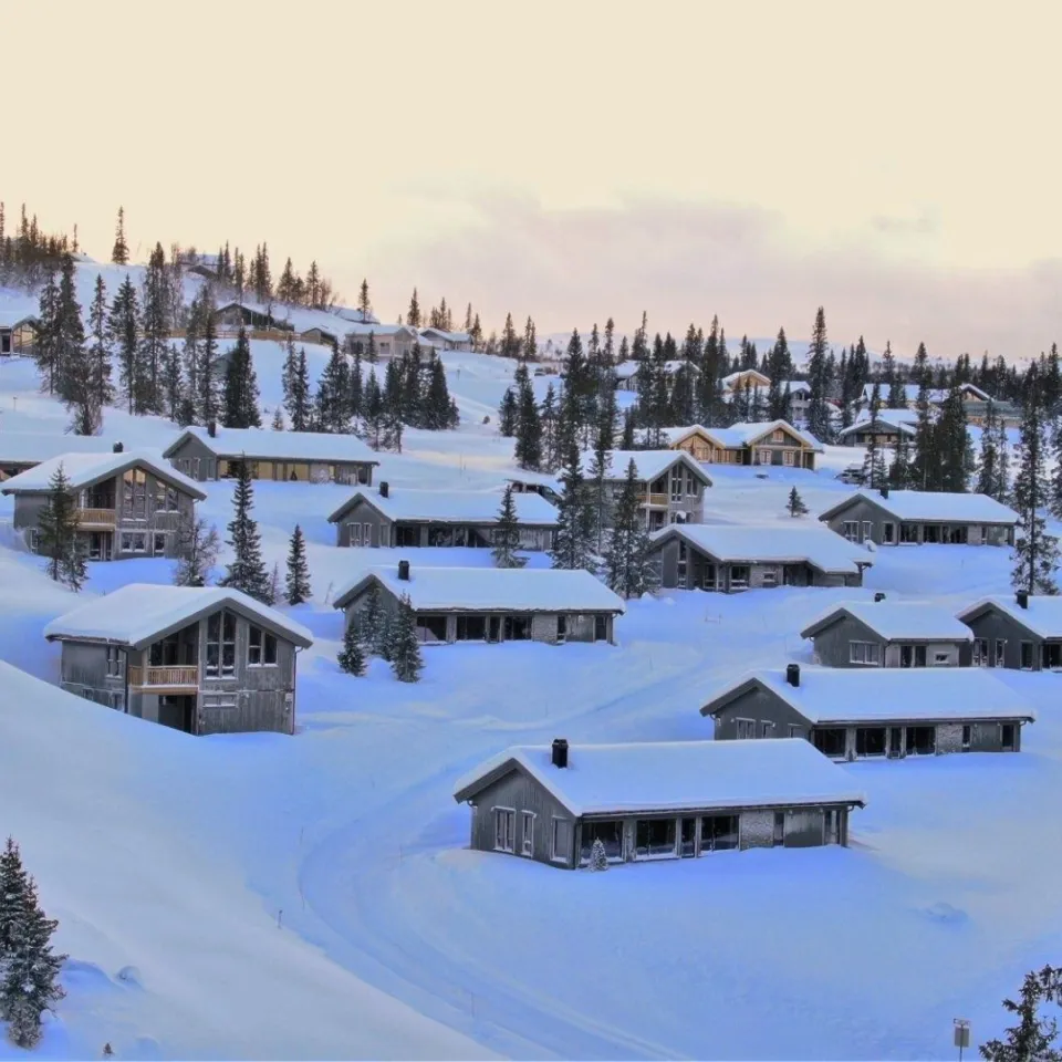 VARDEN FJELLANDSBY 202