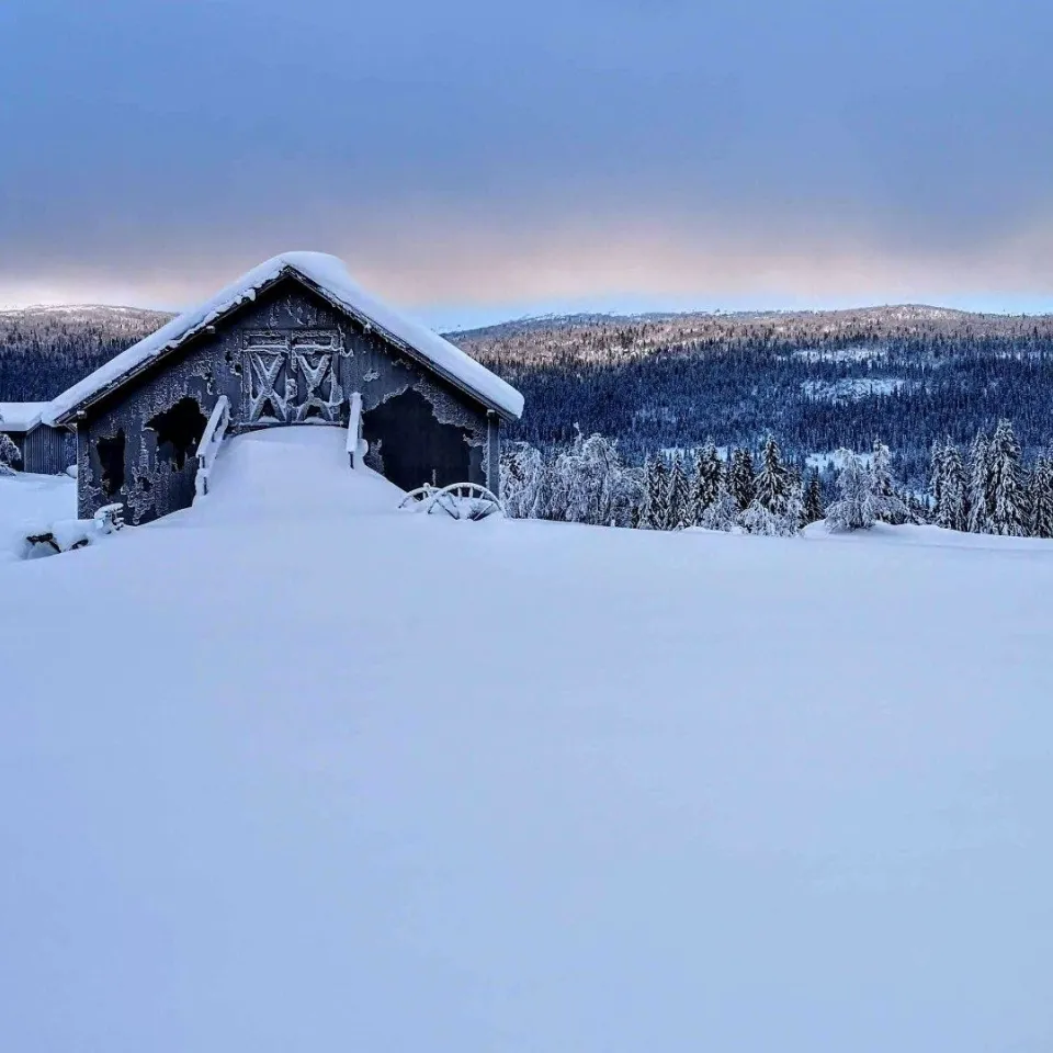 VARDEN FJELLANDSBY 202