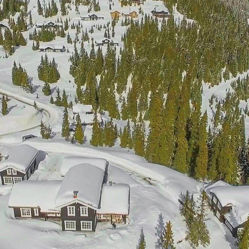 BJØNNLITJØNNVEGEN 17B