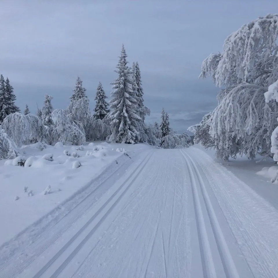 SEGELSTADSETRA HYTTEGREND 11