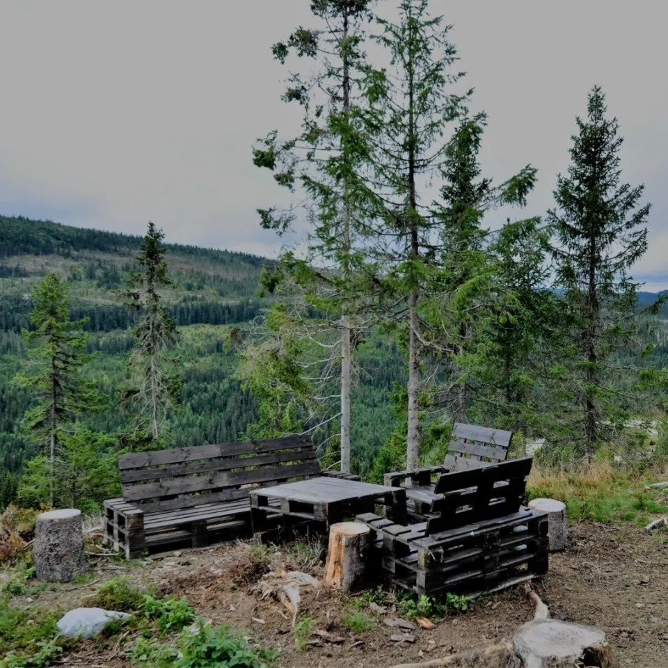 SEGELSTADSETRA HYTTEGREND 11