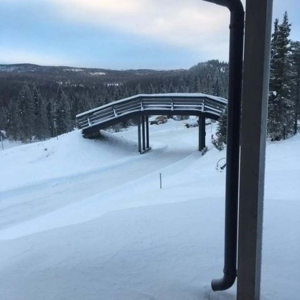 BJØNNLITJØNNVEGEN 4