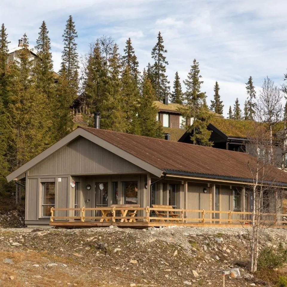 BJØNNLITJØNNVEGEN 4