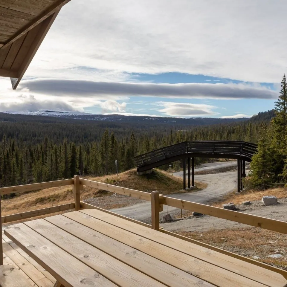 BJØNNLITJØNNVEGEN 4