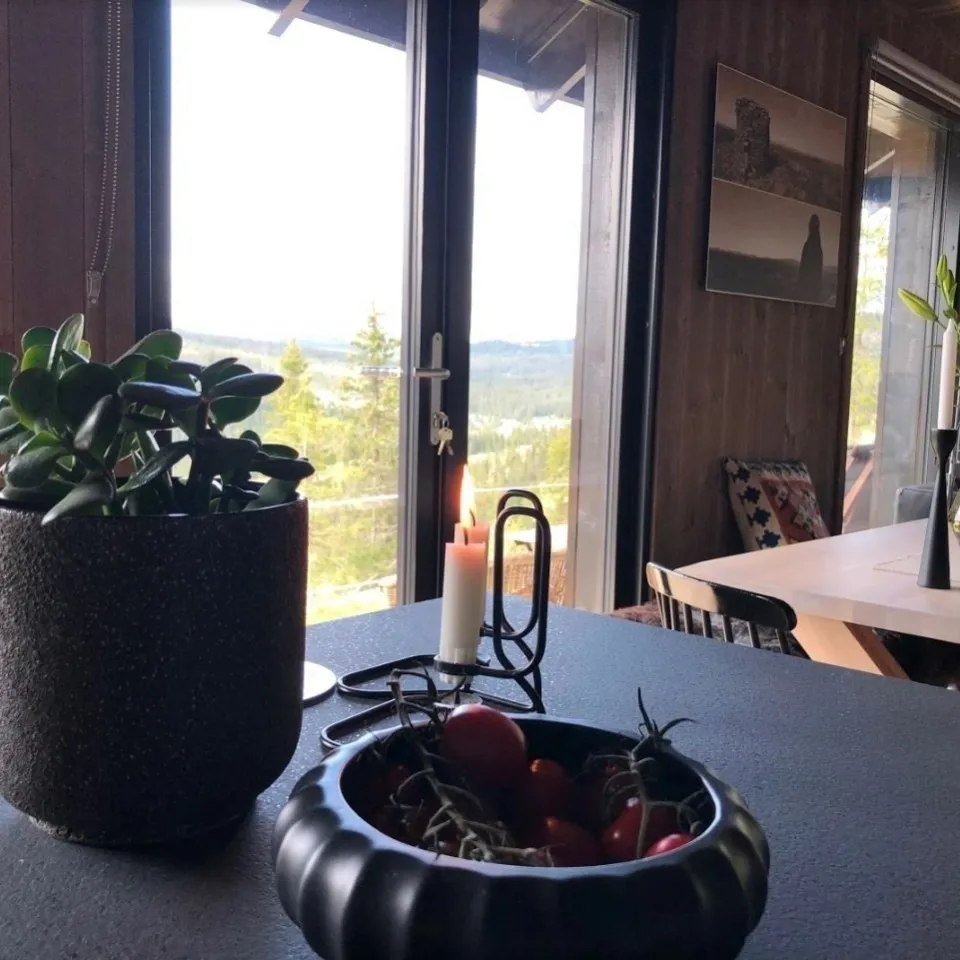 SEGELSTADSETRA HYTTEGREND 5