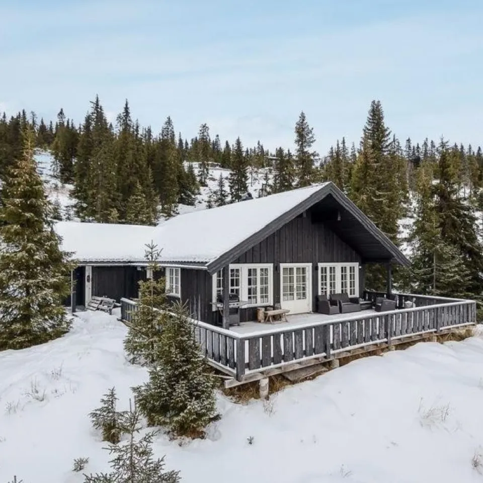 BJØNNLITJØNNVEGEN 33