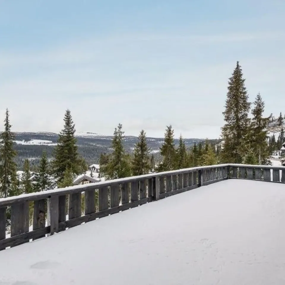 BJØNNLITJØNNVEGEN 33