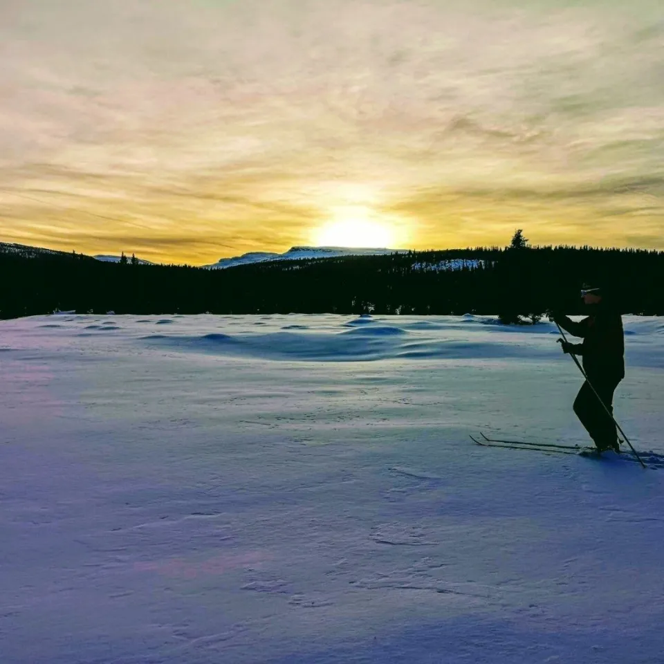 VARDEN FJELLANDSBY 206