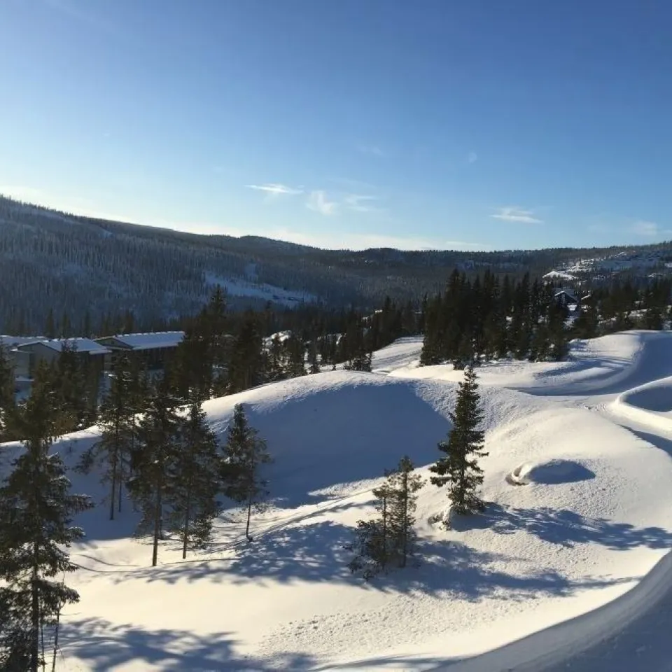 SEGELSTADSETRA HYTTEGREND 8