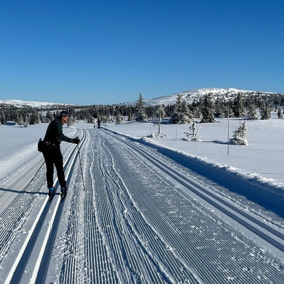 HAFJELL FJELLANDSBY 260A