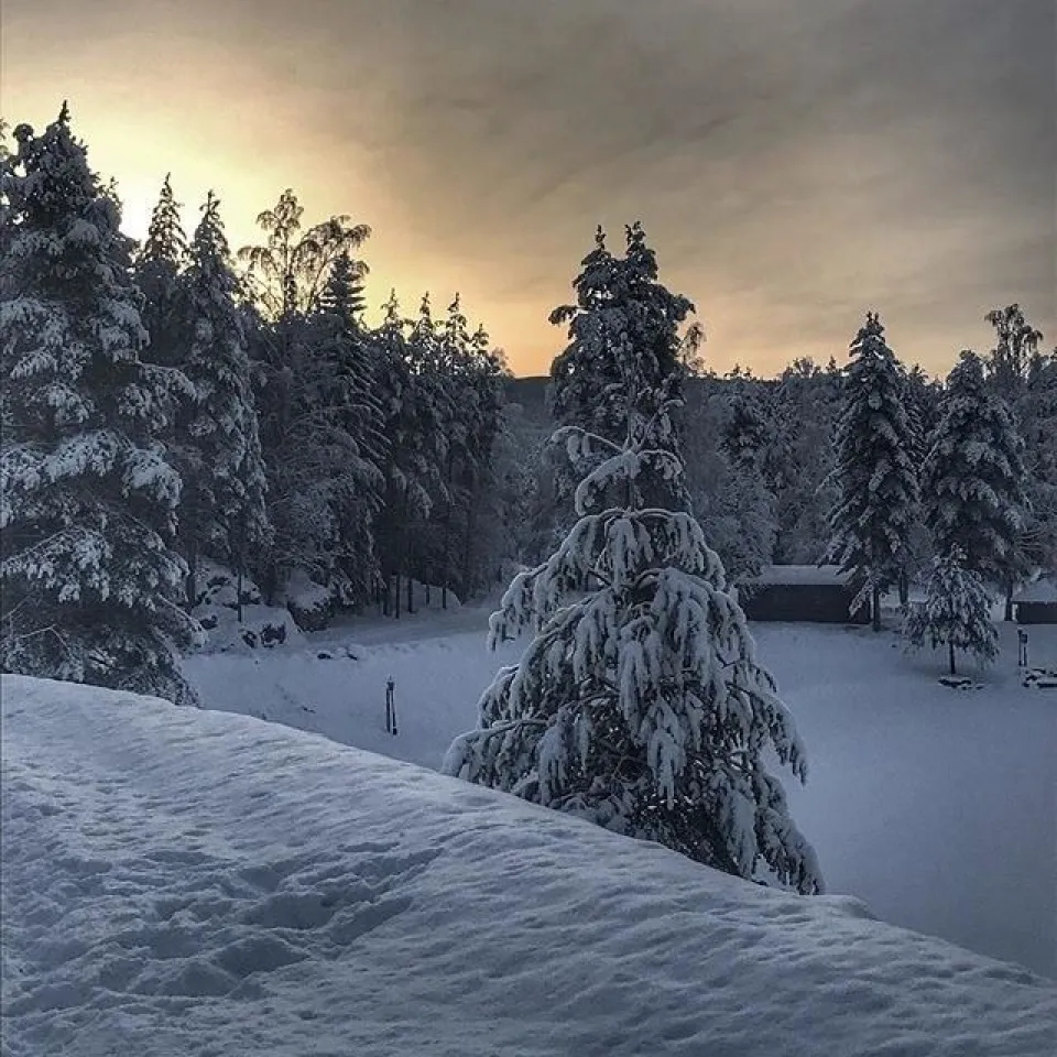 Hunderfossen Hotell & Resort 