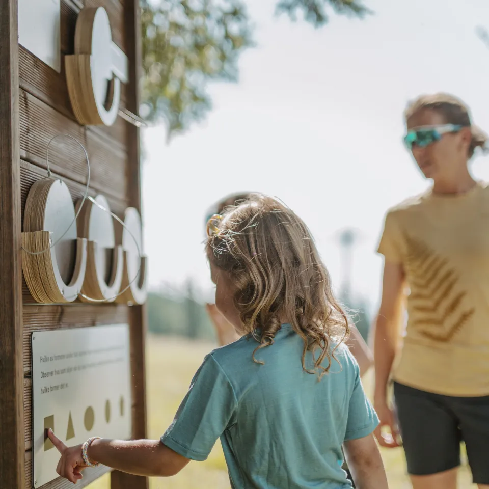 Der Pfad des Meisters