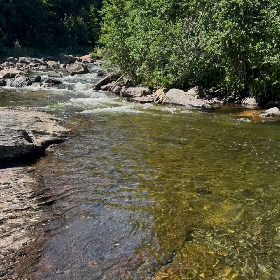 Schwimmen in Svinåa