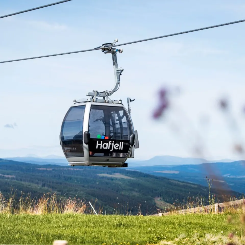 Enkelttur med Gondol