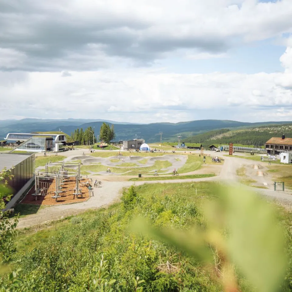 Enkelttur med Gondol