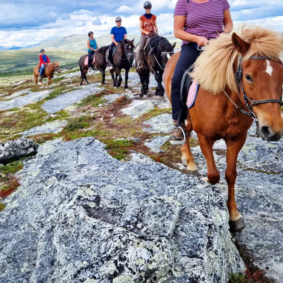 Guidet ridetur med fjellutsikt