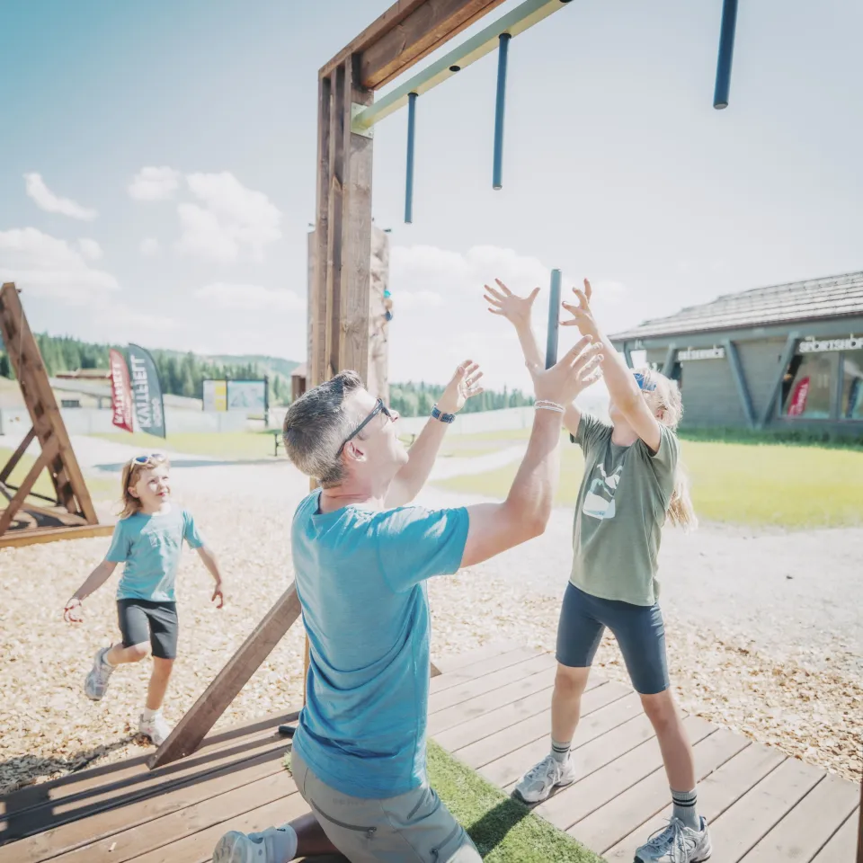 Champion der Familie