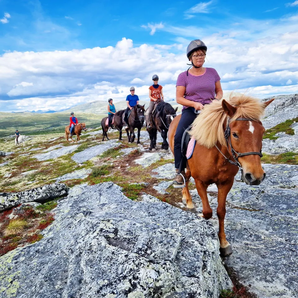 Overnattingspakke med Guidet fjelltur på hest