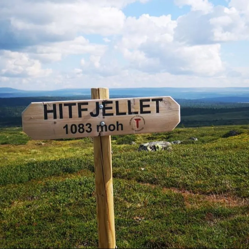 Guidet tur til Hitfjellet
