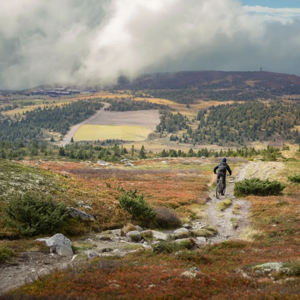 Geführte Tour nach Pellestova