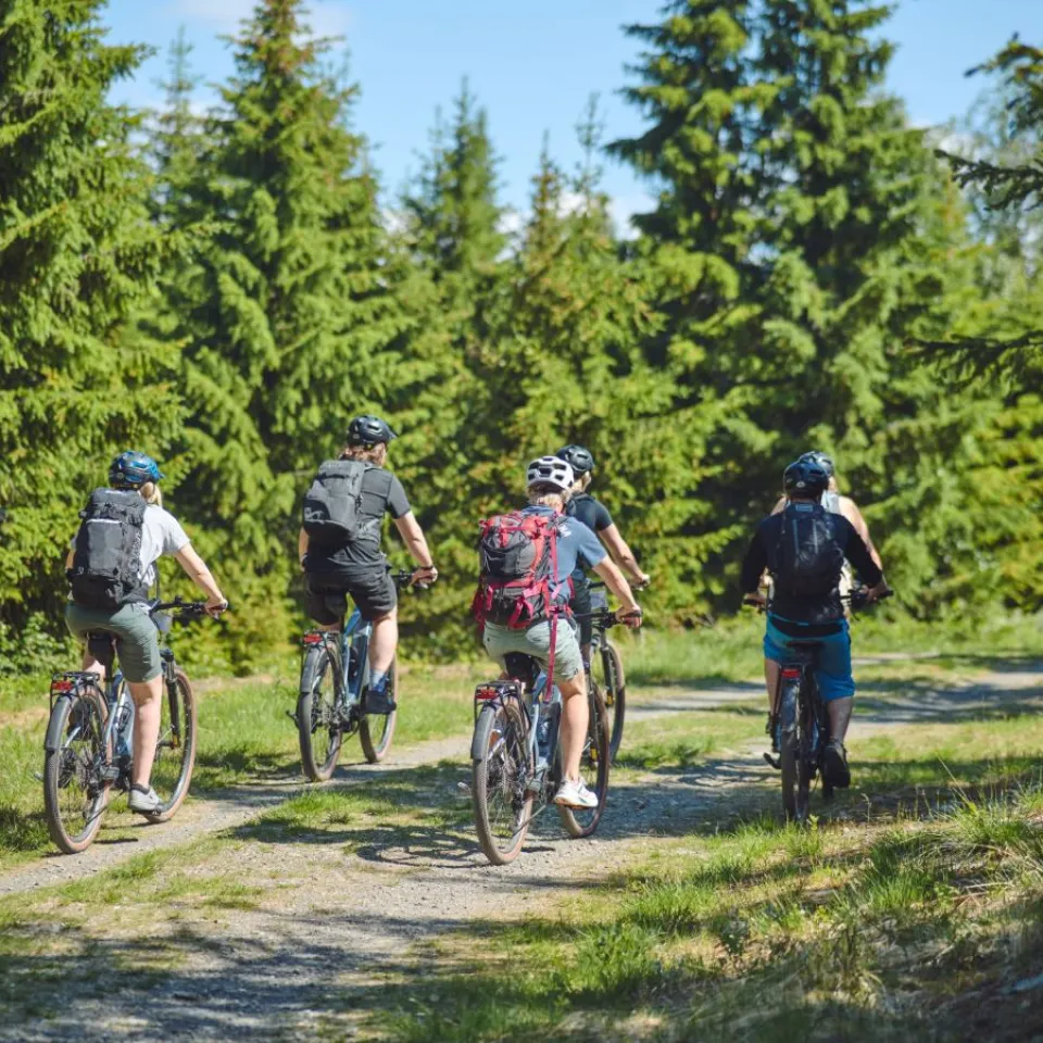 Sykkeltur på skogsstiene i Hafjell