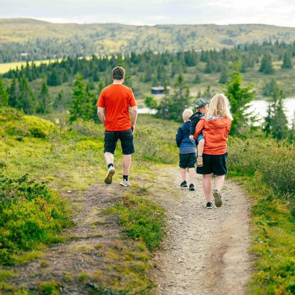Sommerpaket in Hafjell mit Führungen und Himbeerpflücken