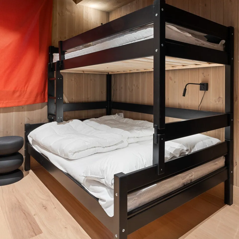 ORIGO 29T