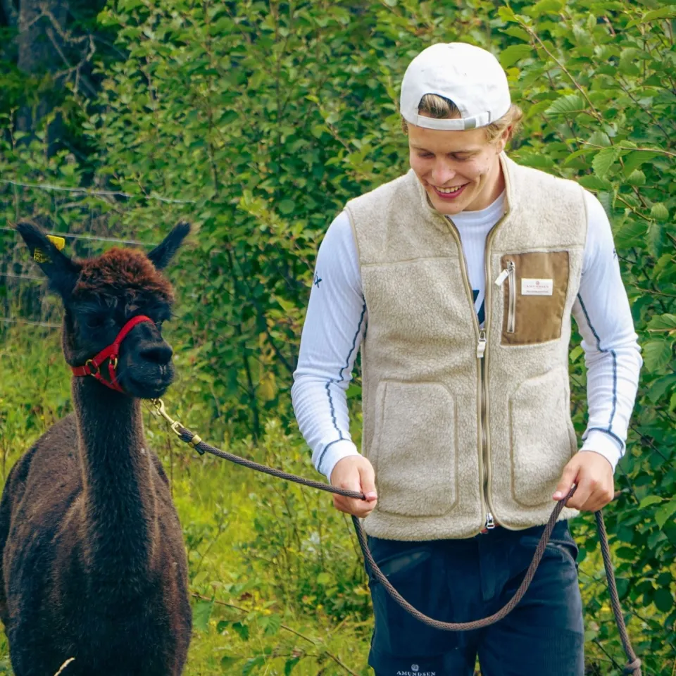 Leierunder Alpaca