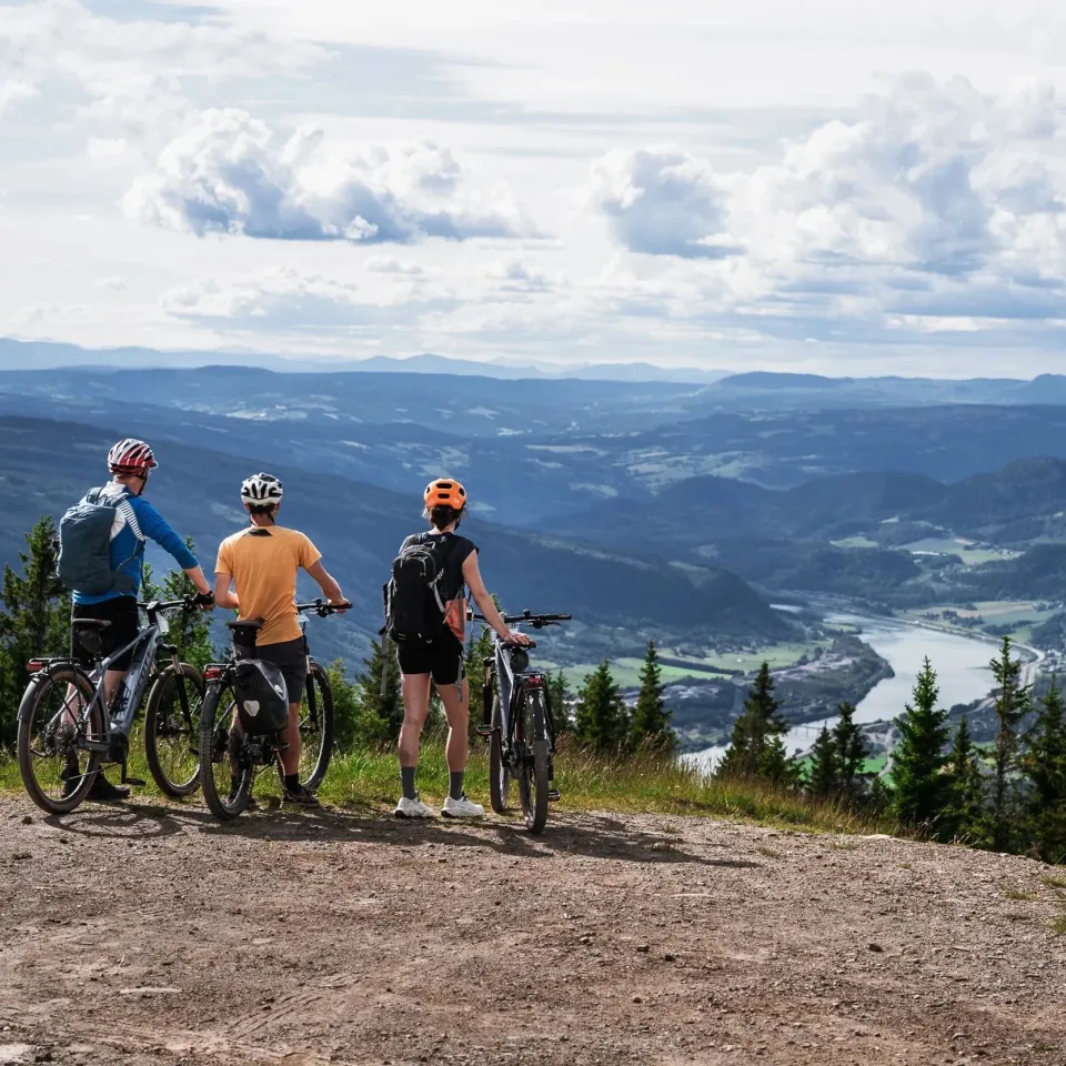 Guidet elsykkeltur med SWIG i høstfjellet
