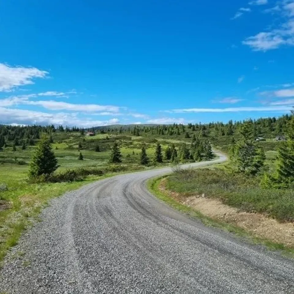 Guidet elsykkeltur med SWIG i høstfjellet