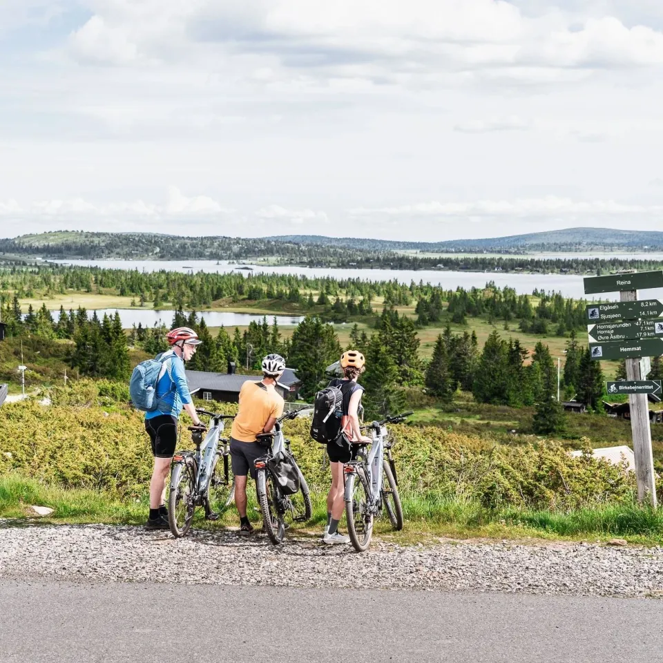 Guidet elsykkeltur med SWIG i høstfjellet