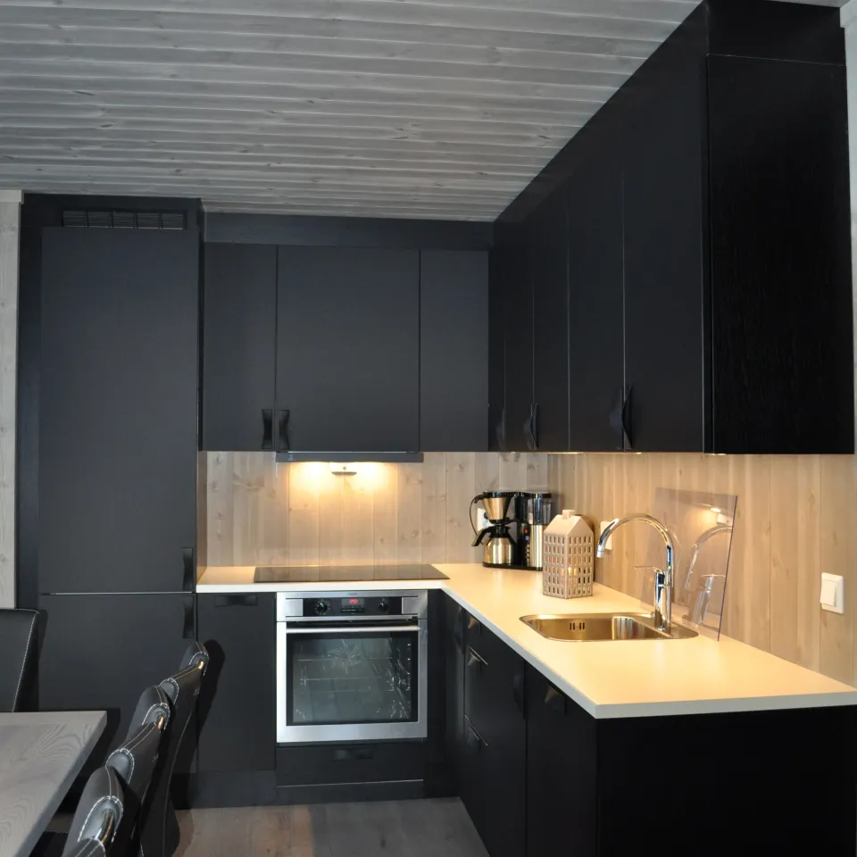 HAFJELL FJELLANDSBY 220 