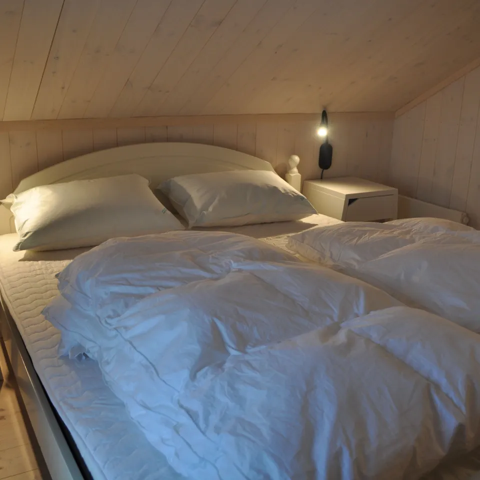 HAFJELL FJELLANDSBY 220 