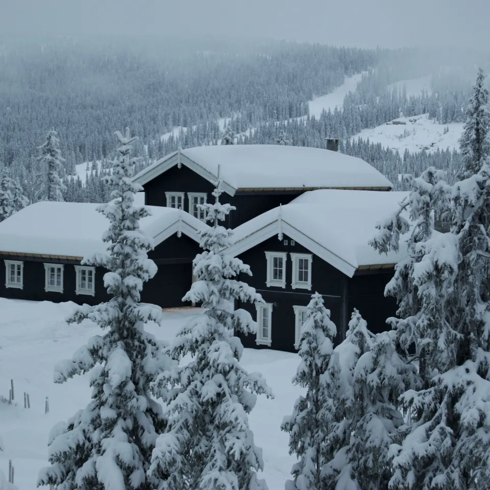 BJØNNLITJØNNVEGEN 17A