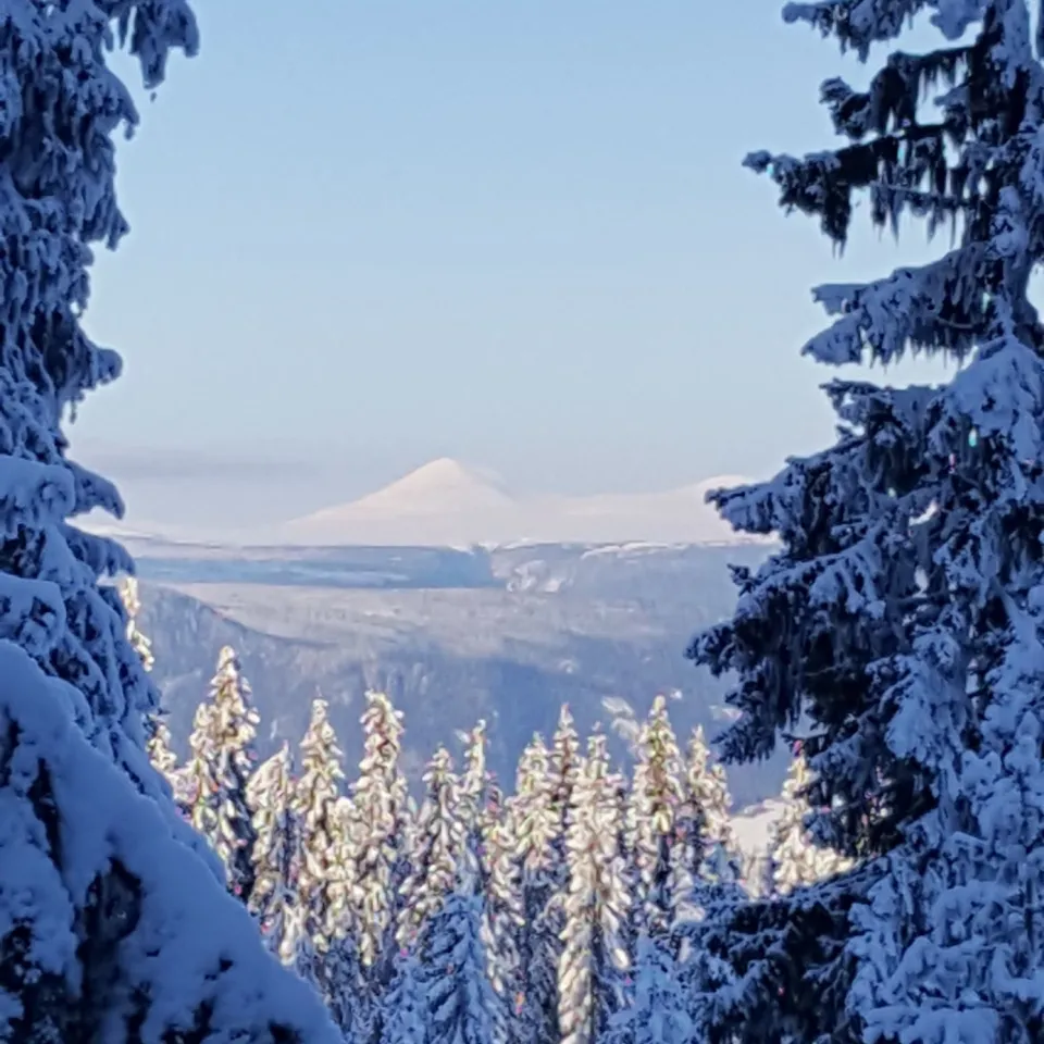 SØNNAVIND