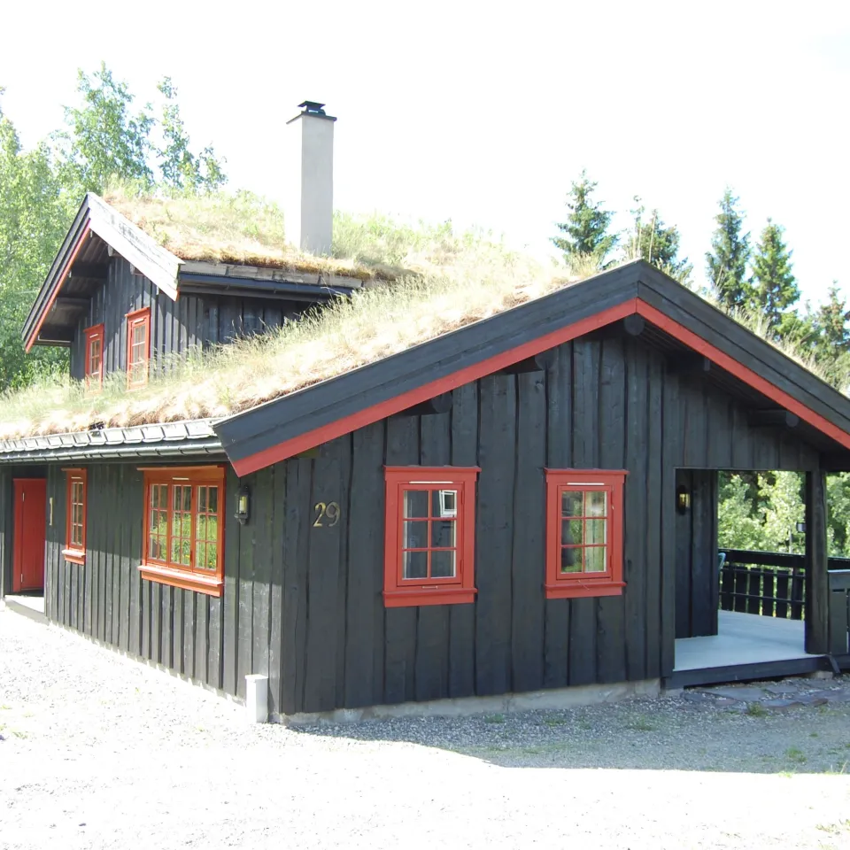 NORDLIA 29