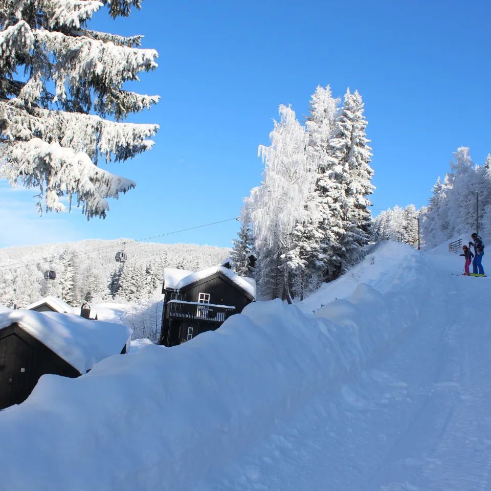 Skivei