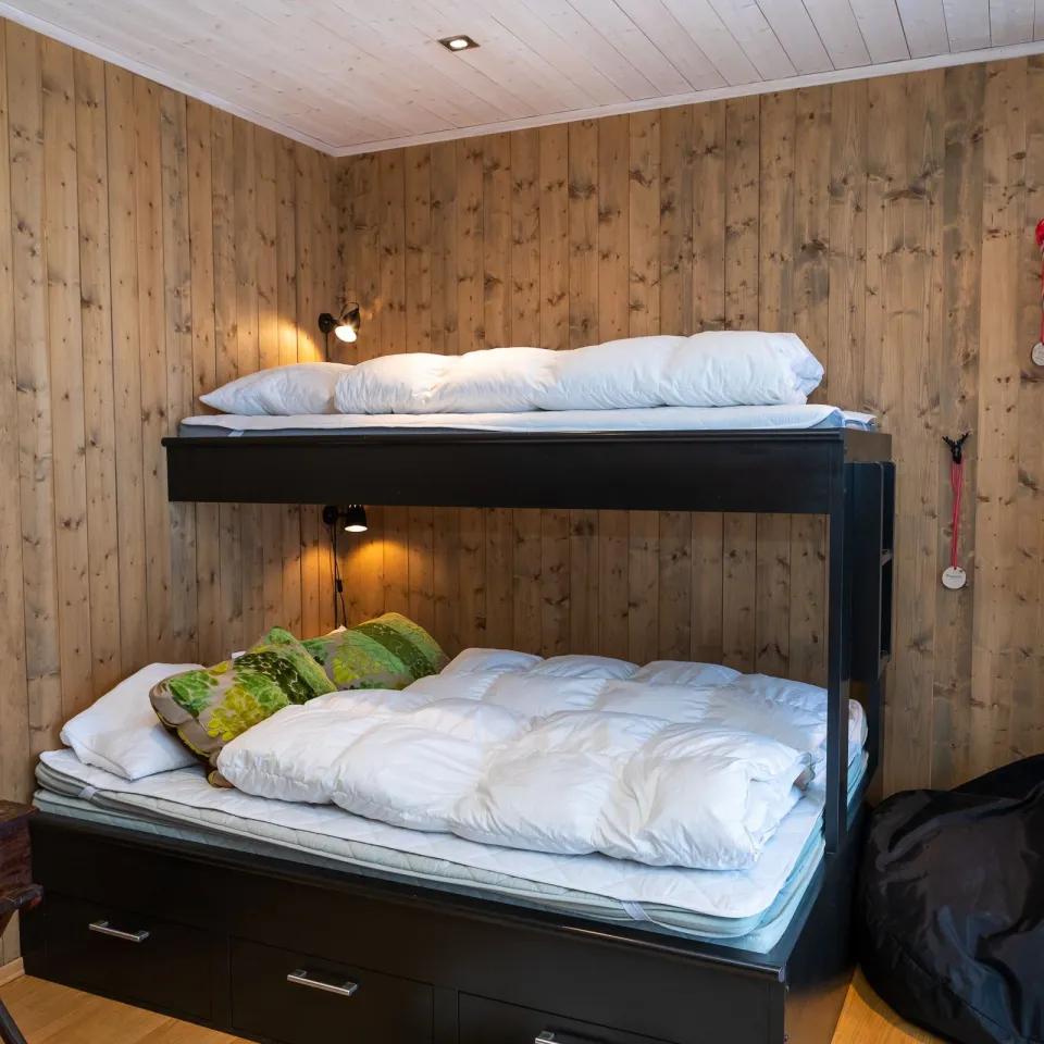 BJØNNLISKARDET 69