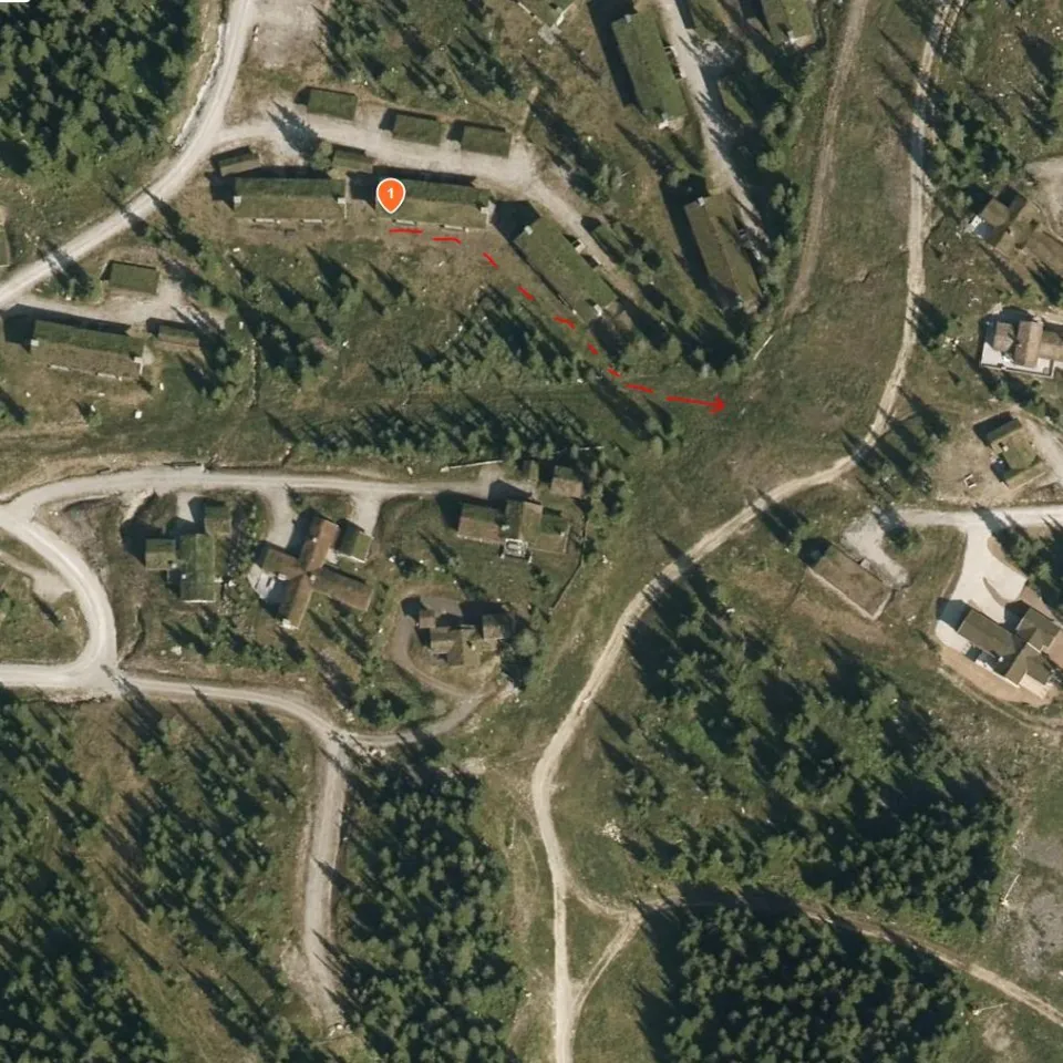 BJØNNLISKARDET 69