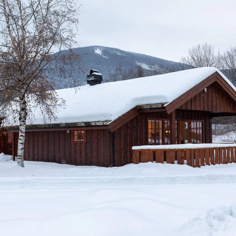 KVITFJELLTUNET 10